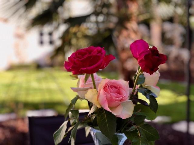 "Le Jardin" Chambre De Charme, Piscine A Meursault Εξωτερικό φωτογραφία
